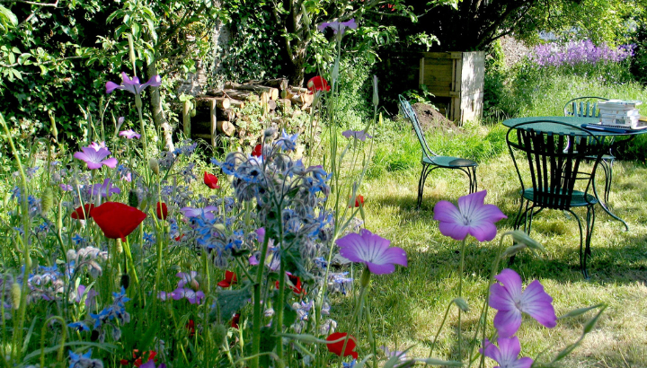 Entre ailes et feuilles : une balade nature !